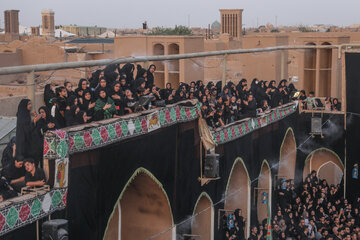 آیین نخل برداری عصر عاشورا حسینیه «شاه‌ ابوالقاسم» - یزد