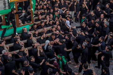 آیین نخل برداری عصر عاشورا حسینیه «شاه‌ ابوالقاسم» - یزد