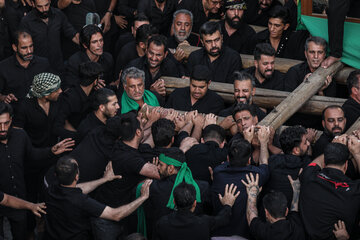 آیین نخل برداری عصر عاشورا حسینیه «شاه‌ ابوالقاسم» - یزد