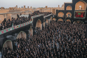 آیین نخل برداری عصر عاشورا حسینیه «شاه‌ ابوالقاسم» - یزد
