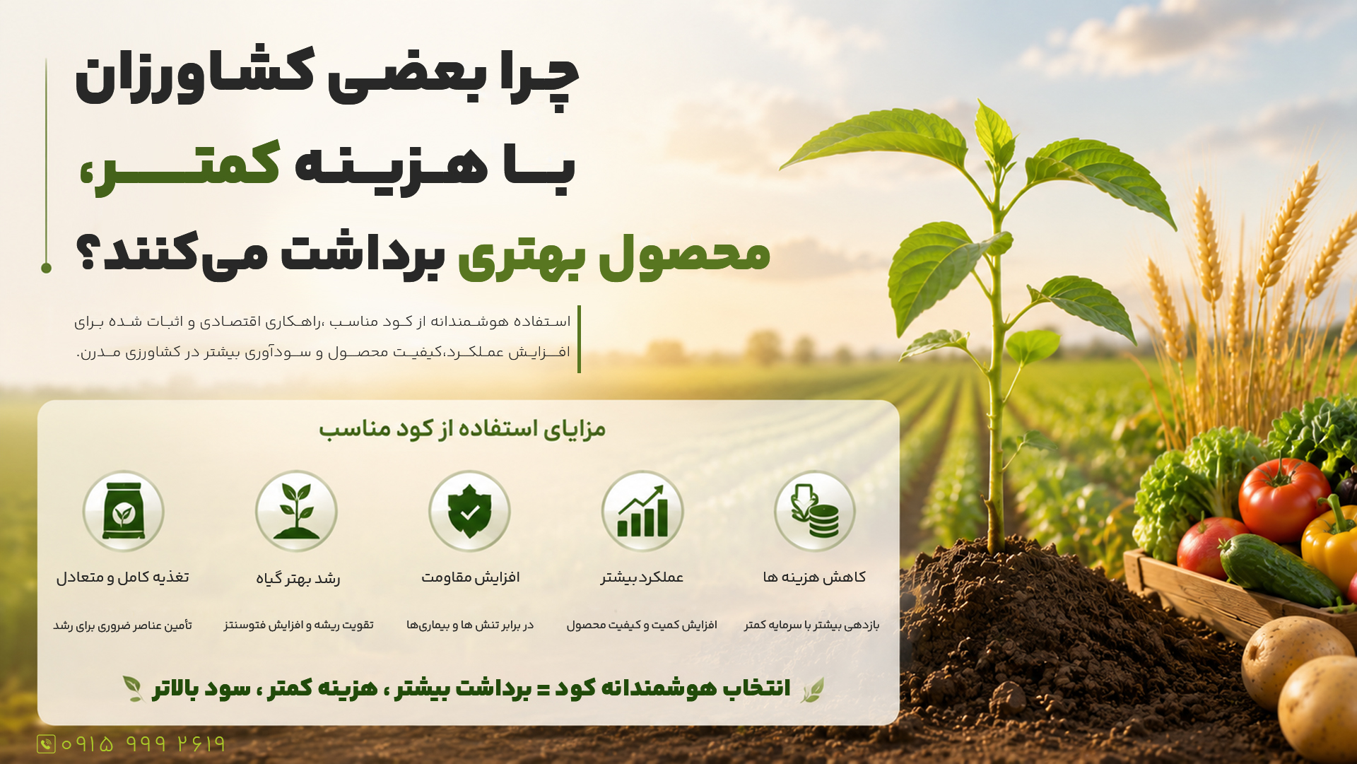 چرا بعضی کشاورزان با هزینه کمتر، محصول بهتری برداشت میکنند؟