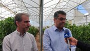 ایلام به الگوی موفق در توسعه کشاورزی مدرن تبدیل می‌شود
