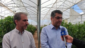 ایلام به الگوی موفق در توسعه کشاورزی مدرن تبدیل می‌شود
