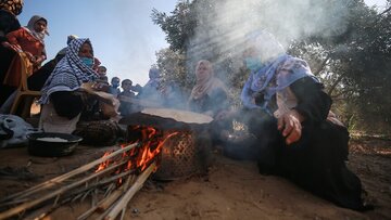 آتش شهرک‌نشینان صهیونیست به جان باغ‌های زیتون فلسطینیان