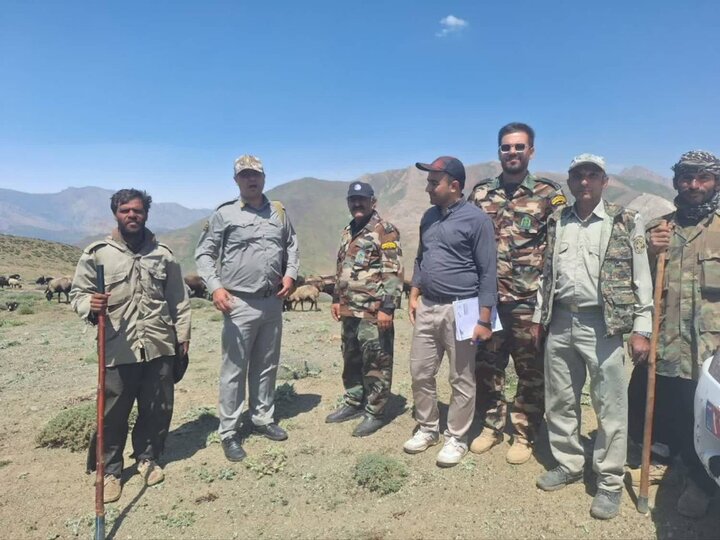 اخراج ۸۰۰ رأس دام غیرمجاز از مراتع کرج