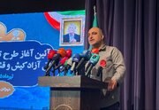 مدیرعامل منطقه آزاد قشم: نتایج طرح تردد خودروهای پلاک مناطق آزاد به‌زودی نمایان می‌شود
