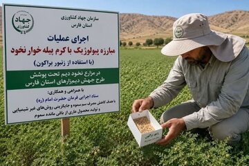 آغاز مبارزه بیولوژیک با کرم پیله‌خوار نخود در دیم‌زارهای فارس