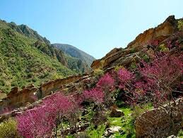 دره ارغوان ایلام؛ ترکیبی از رنگهای سبز، ارغوانی و آبی