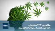 ویدیو/ مطالعه روی ۴۶۳ هزار نوجوان؛ رابطه نگران‌کننده ماری‌جوانا و اختلالات روانی