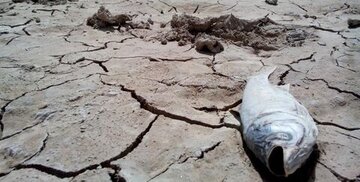 تداوم حفاظت از  تالاب فصلی چم‌شور اسدآباد