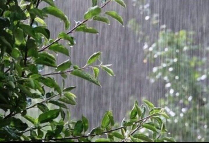 همدان بارانی می‌شود