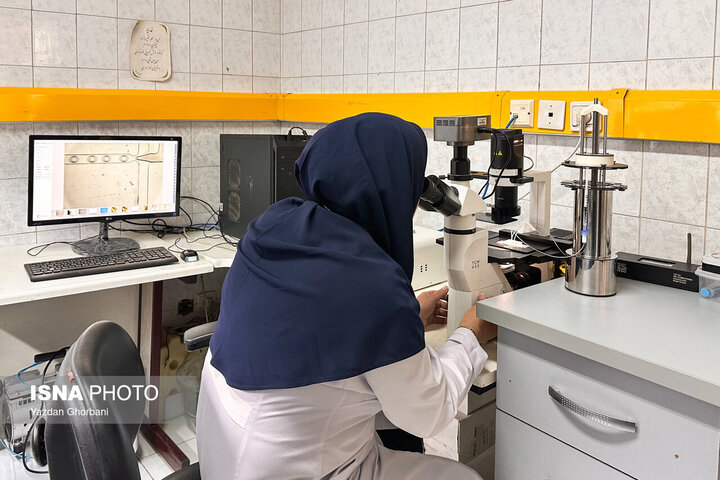 کیت ایرانی بندآورنده خونریزی ساخته شد؛ توقف خونریزی شدید در کمتر از یک دقیقه