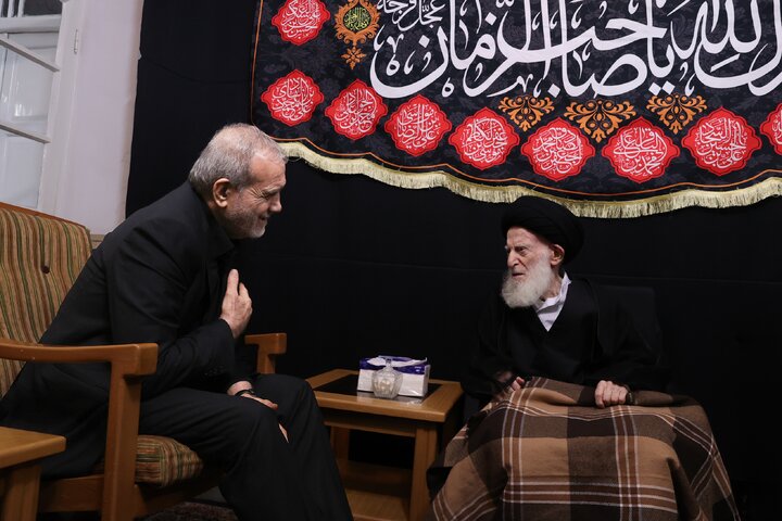 آیت‌الله شبیری زنجانی خطاب به پزشکیان: طرح سخنان ناصحیح و بی‌انصافی‌ها گذراست