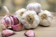 روایت سیر و موسیر همدان؛ از مزیت صادراتی تا ضرورت ایجاد شهرک تخصصی