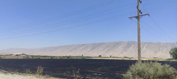 معرفی ۵١ نفر از عاملان سوزاندن بقایای کشاورزی لرستان به مراجع قضایی