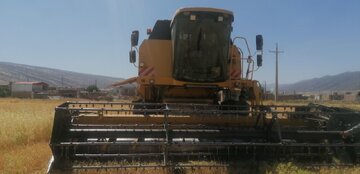 مدیر جهاد کشاورزی ایوان: عملکرد مزارع و برداشت مکانیزه گندم در شهرستان مطلوب است