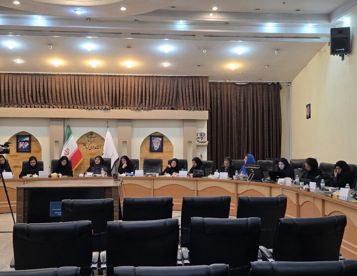 شبکه بانوان کارآفرین و صنعتگر استان راهاندازی میشود