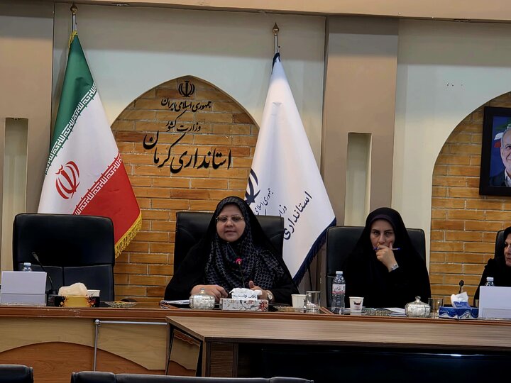 شبکه بانوان کارآفرین و صنعتگر استان کرمان راه‌اندازی می‌شود