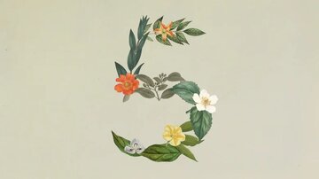 رونمایی از جدیدترین هوش مصنوعی «آنتروپیک»