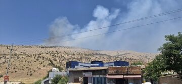 ارتفاعات باباکوهی‌ شیراز باز هم شعله‌ور شد