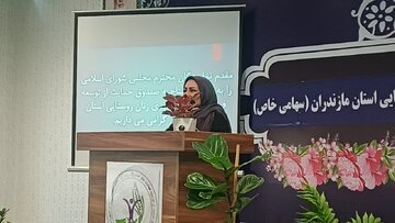 قانون‌گذاران؛ صندوق‌های اعتبارات خرد را به رسمیت بشناسید