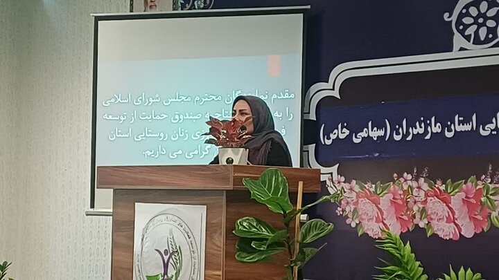 قانون‌گذاران؛ صندوق‌های اعتبارات خرد را به رسمیت بشناسید