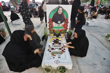 از ادامه تفحص در مدرسه شجره طیبه تا گلزار شهدای میناب