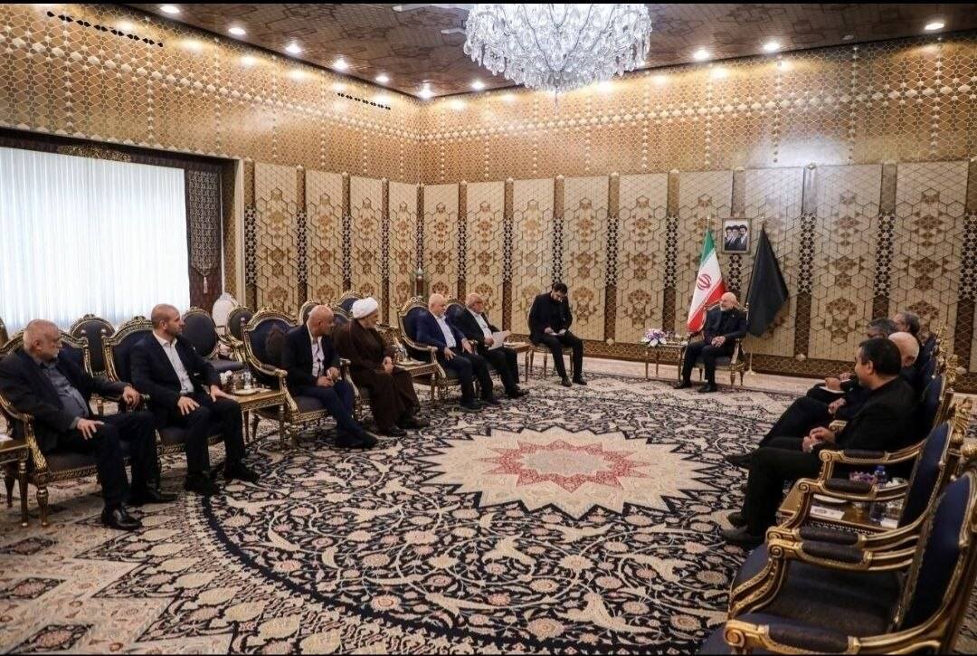 دیدار عضو ارشد امل لبنان با رئیس مجلس شورای اسلامی
