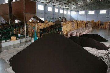 کشف ۳۰ تن چای احتکاری در لاهیجان