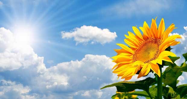 هوای همدان گرمتر می‌شود