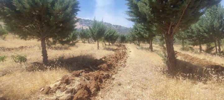مهار آتش‌سوزی دامنه آبیدر در کوتاه‌ترین زمان/ شهروندان از مراجعه به محل خودداری کنند