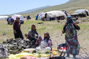 جشنواره کوچ عشایری در طارم برگزار می‌شود