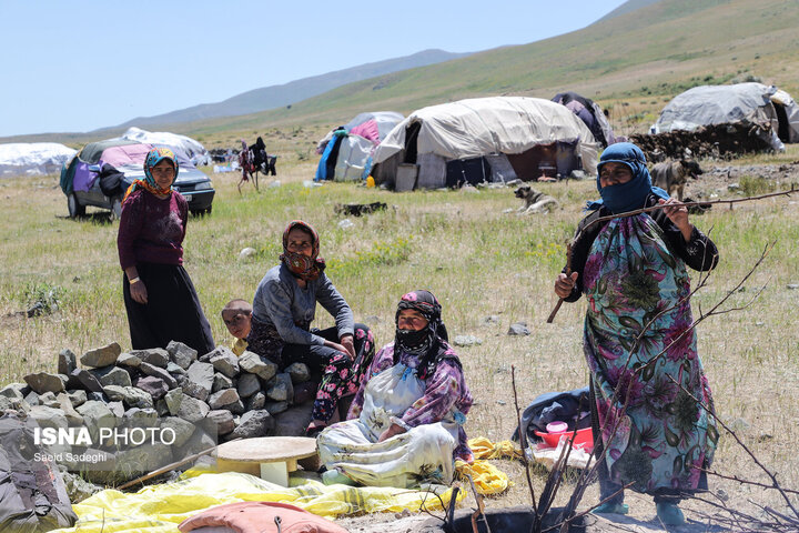 جشنواره کوچ عشایری در طارم برگزار می‌شود