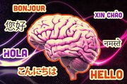 صحبت کردن به چند زبان، سرعت پیری مغز را کم می‌کند