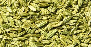 قطب تولید رازیانه کشور در مسیر بورس و صنایع تبدیلی