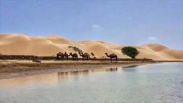 فرماندار: توجه بیشتری به توسعه روستاهای هدف گردشگری کنارک معطوف شود