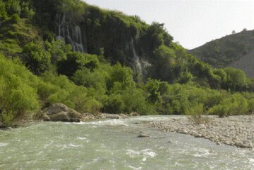 جنگل‌های کوهمره سرخی ظرفیت ملی فارس برای توسعه گردشگری طبیعی هستند