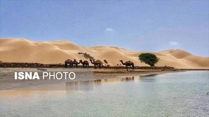 فرماندار: توجه بیشتری به توسعه روستاهای هدف گردشگری کنارک معطوف شود