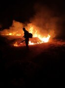 مهار آتش‌سوزی در منطقه حفاظت‌شده بیستون