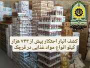کشف ۴۰۰ میلیارد ریال کالای احتکاری در قرچک