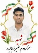 شهادت «استوار دوم علیرضا بالیده» فرزند خراسان جنوبی در بوشهر