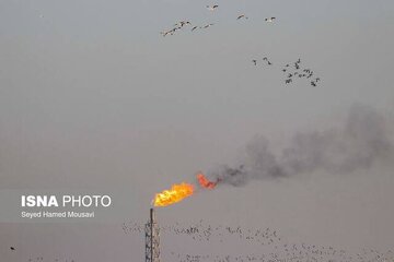 تنفس هوای ناسالم برای گروه‌های حساس در ۶ شهر خوزستان 