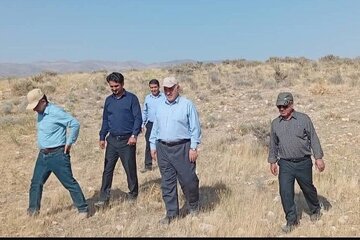 مدیرکل بنیاد مسکن فارس: ۲۶۷۰۰ واحد نهضت ملی مسکن در حال احداث است