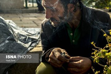 مقابله جدی با کشت خشخاش در خوزستان/ ترک فعل سه مدیر در نگهداری معتادان متجاهر 