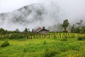 ییلاقات سوادکوه؛ پناهگاه خنک در اوج گرمای تابستان