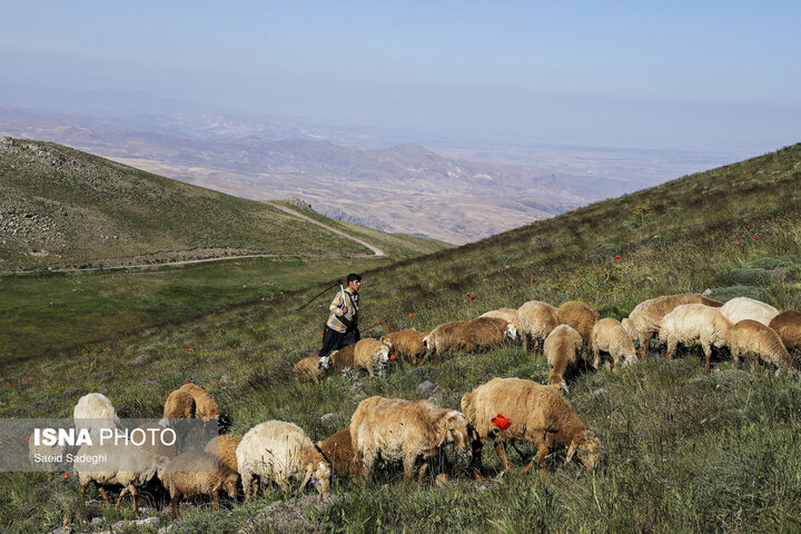 عشایر طایفه «آتمیانلو» - ارسباران