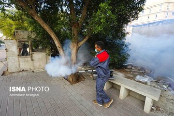 پیش‌بینی حمایت‌های اعتباری در خصوص مقابله با پشه آئدس در سیستان و بلوچستان