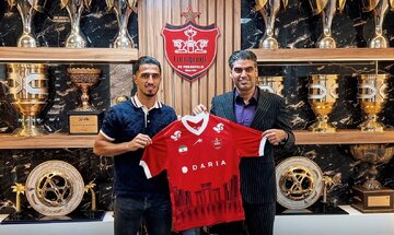 علی علیپور با پرسپولیس تمدید کرد