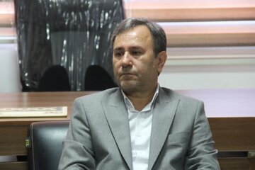 رئیس جهاد کشاورزی لرستان: تأمین پایدار نهاده‌های دامی لازمه ثبات بازار است