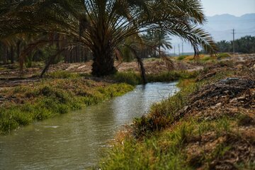 کانال آبی سد خائیز شهرستان تنگستان 